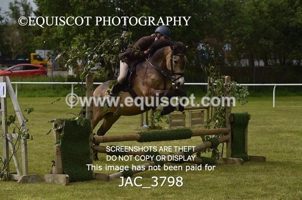 JAC_3798 - 65cm WORKING HUNTER