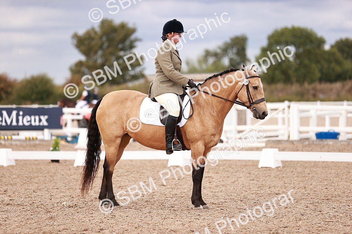 SBM_06346 - Class 37 - Novice 5