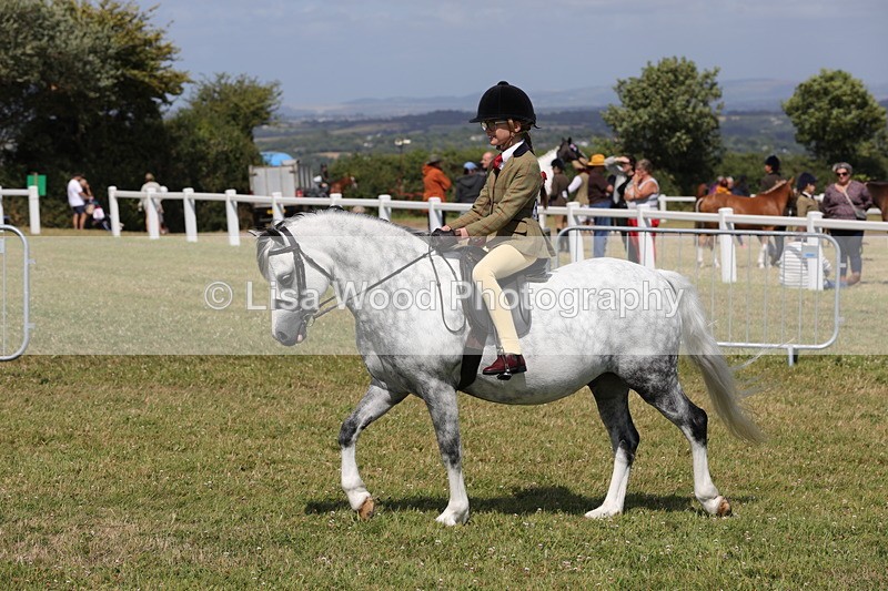 1X9A5357 - Class 37: NPS M&M First Ridden