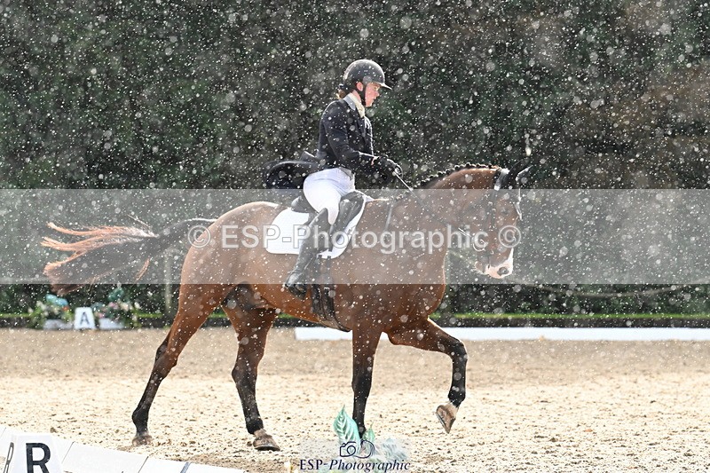 251023A-144544-05590 - B-156-Eres.Parry