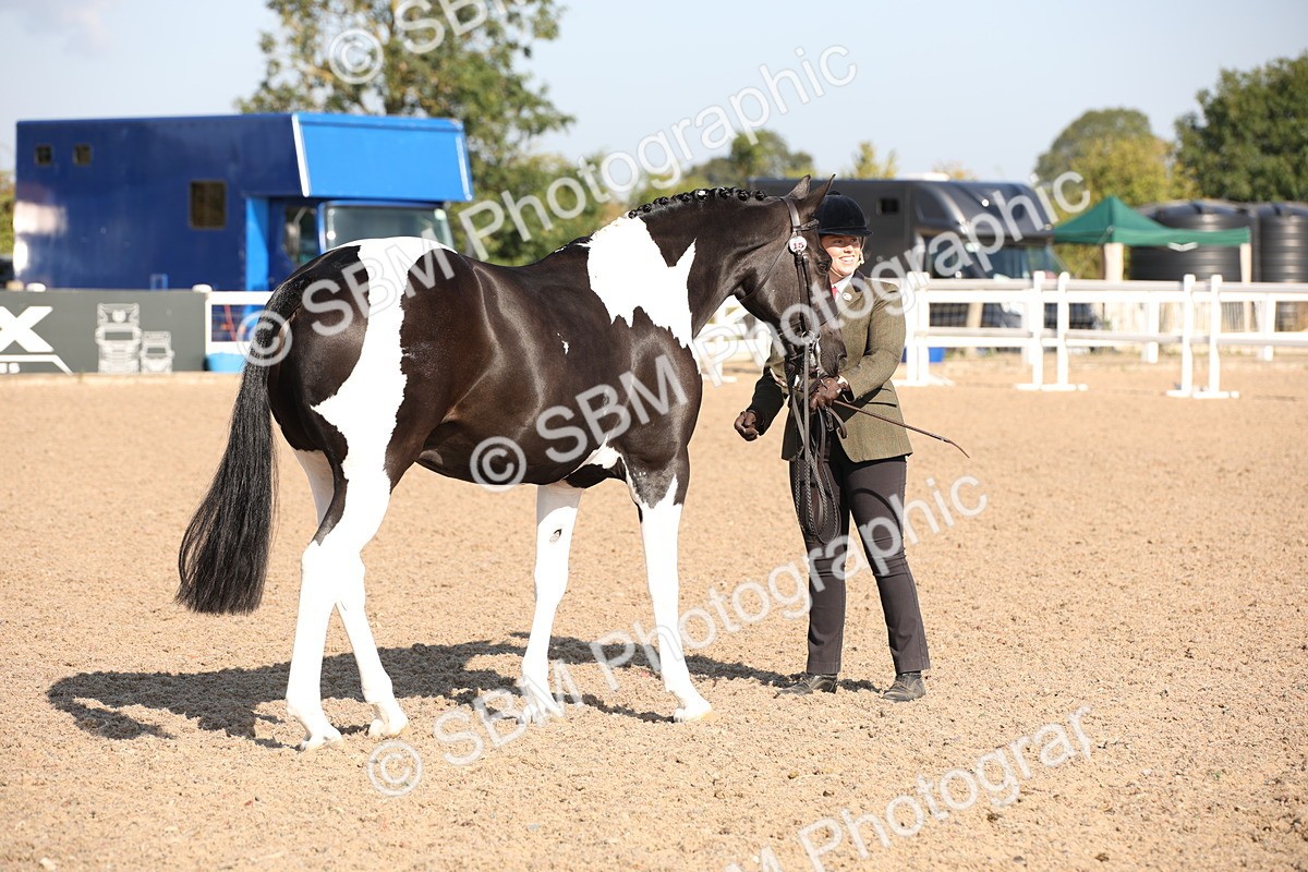 SBM_01463 - Class 15 IH Coloured