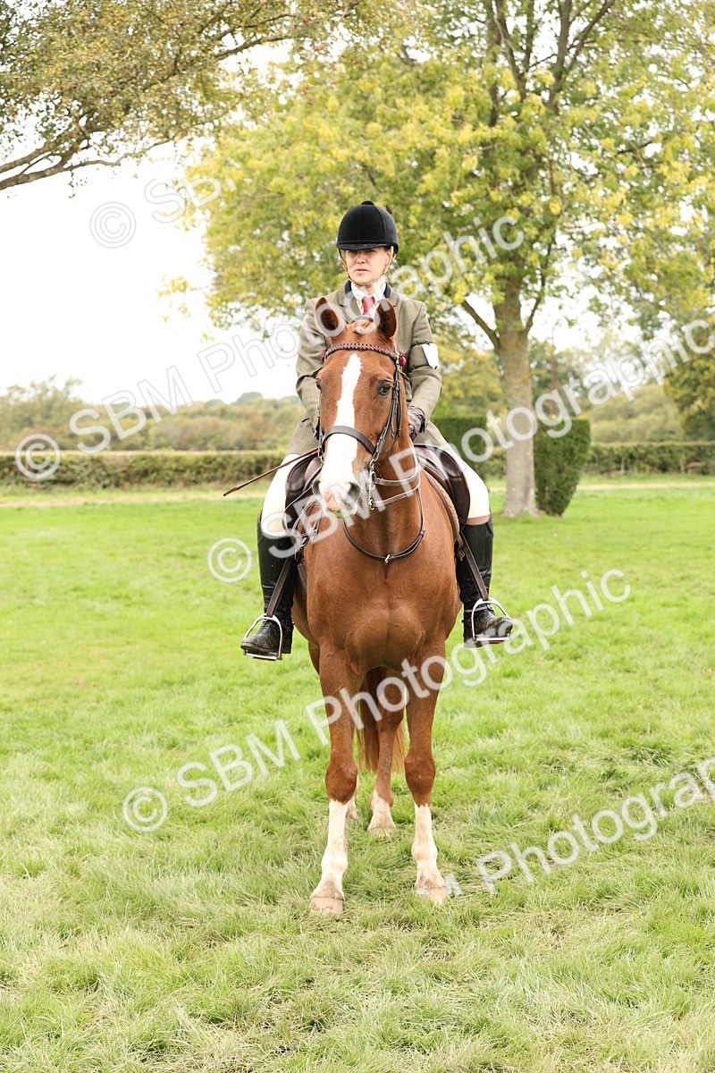 SBM_64345 - S65 - Riding Horse & Hack & Thoroughbred Ridden