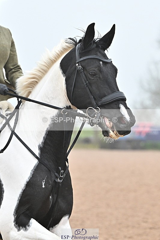 241103A-112531-07033 - SUN Cls 18 British Novice and 90cm Open