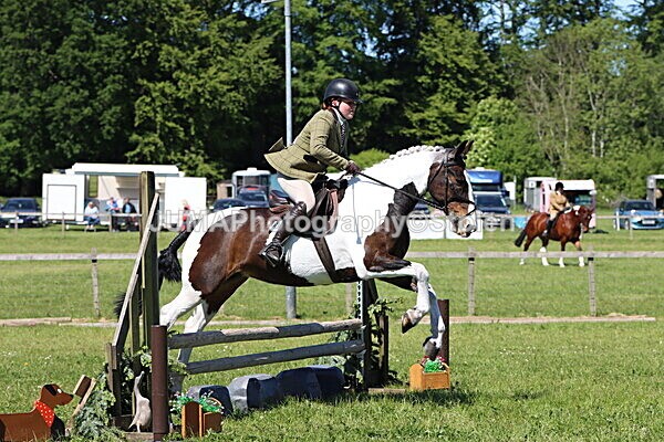 IMG_4107 - Working Hunter