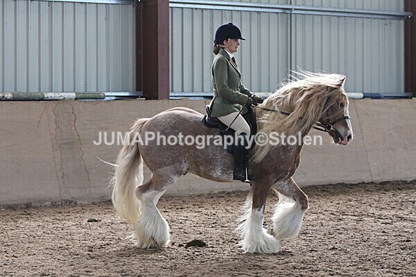 SIAL1981 - Indoor Classes