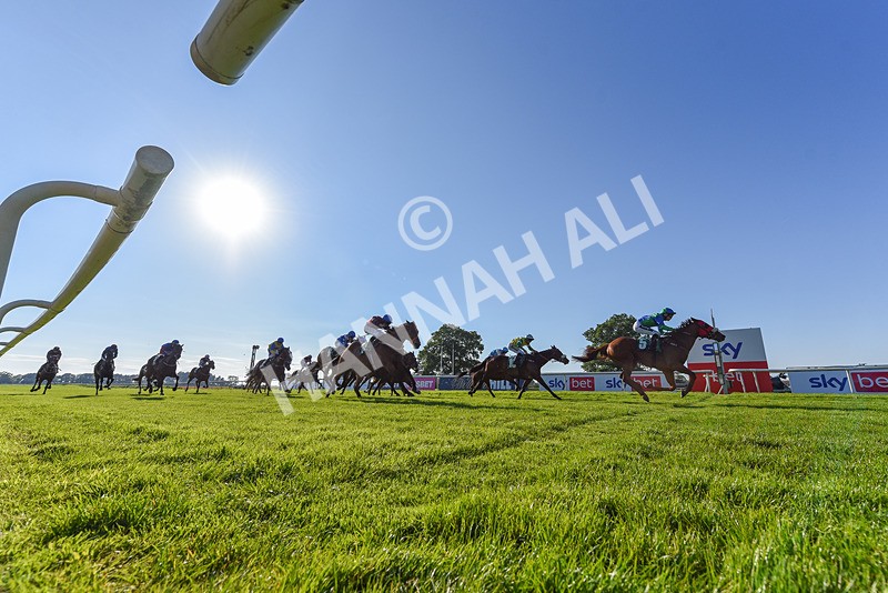 180524-Race 8-Lord Abama-6679 - Race 8