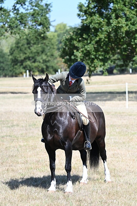 WJ7_4104 - Class 9 Mountain & Moorland Ridden