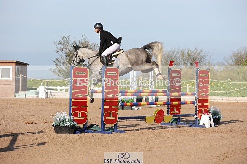 250427-084214-14601 - Cls 28 Young Horse 5yr old