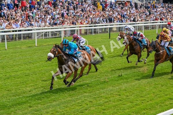 310525-Race 1-Ingleby Archie-8582 - Race 1 1.30pm William Hill Keep Your Raceday Positive Handicap