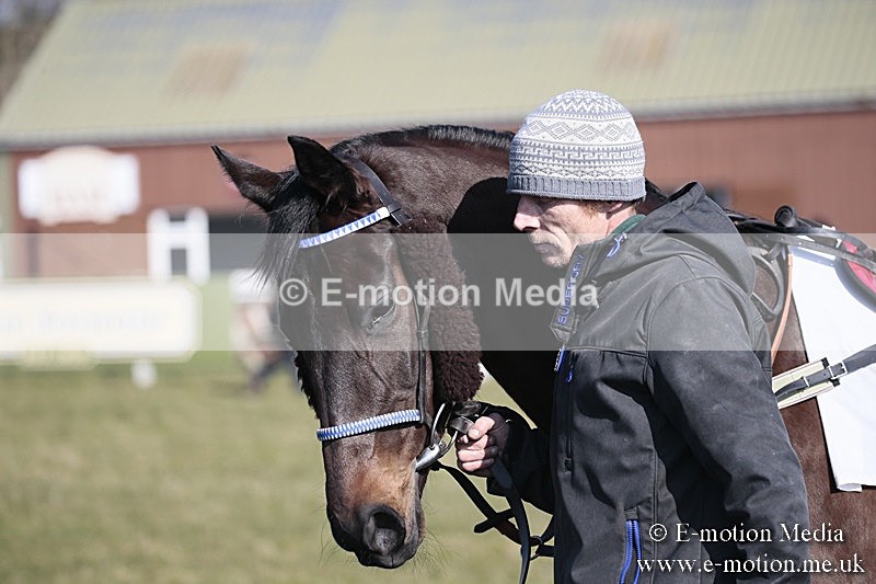 PtP 240218 121 - Vine & Craven Hunt Point-to-Point Barbury racecourse 24/02/18