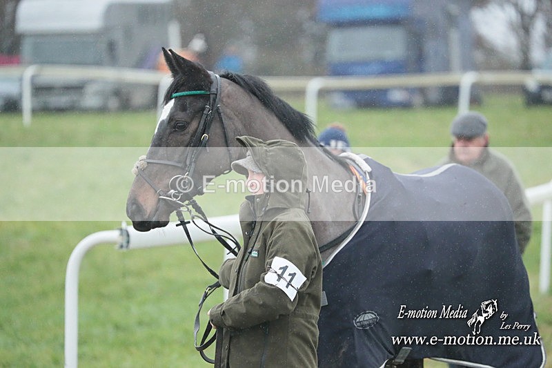 PtP 101223 173 - New Forest Hounds PtP Larkhill 10/12/23