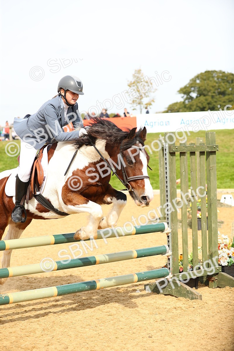 SBM_67141 - J17 - Junior Pony 80cm Championship