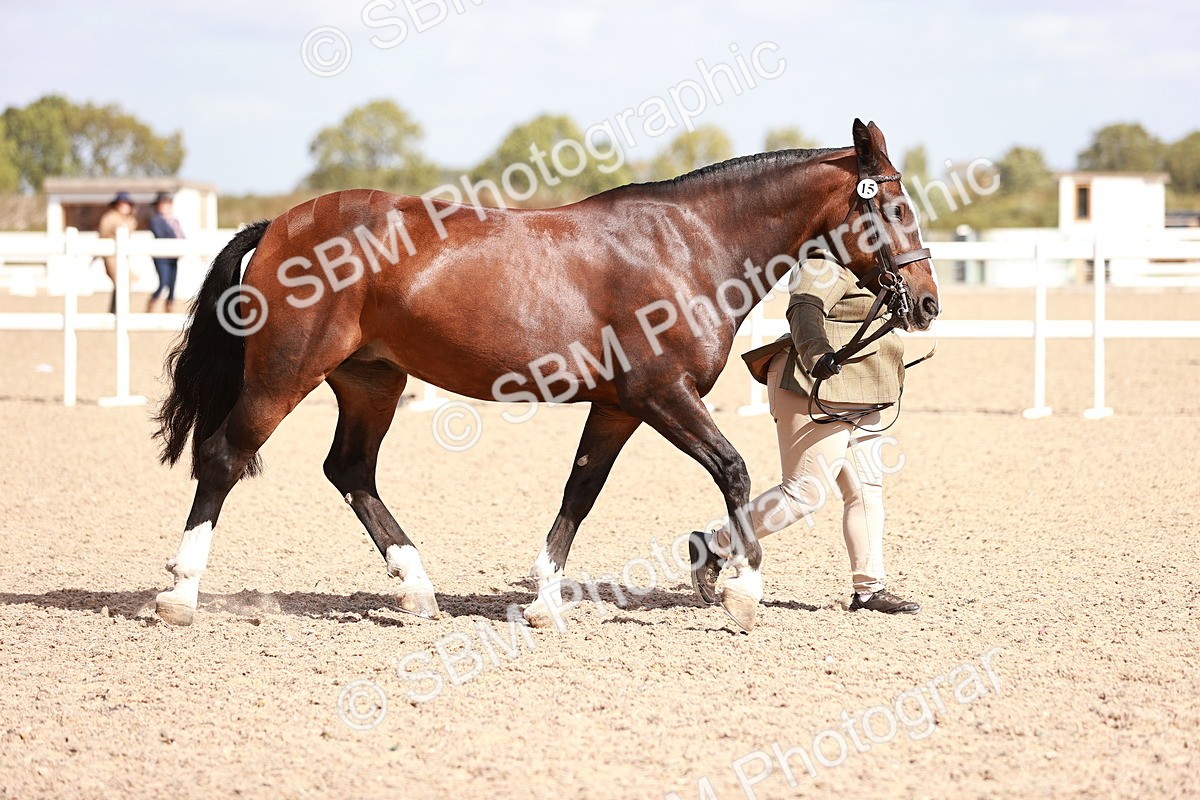SBM_23002 - Class 707 - IH groom Helpers Class