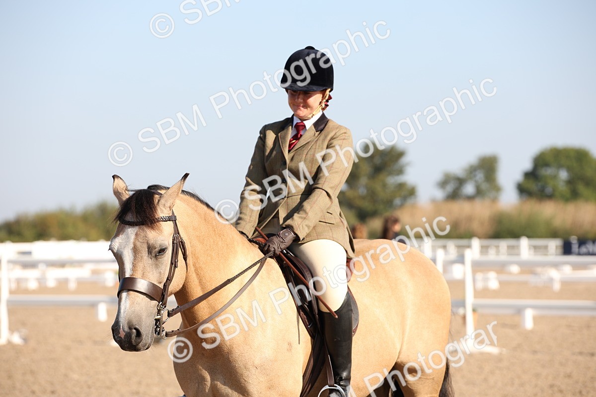 SBM_00749 - Class 14 Ridden M&M Wildcard