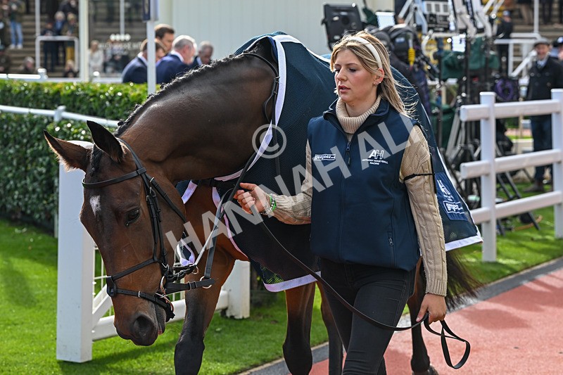 251025-Race 1-Kdeux Saint Fray-6772 - Race 1