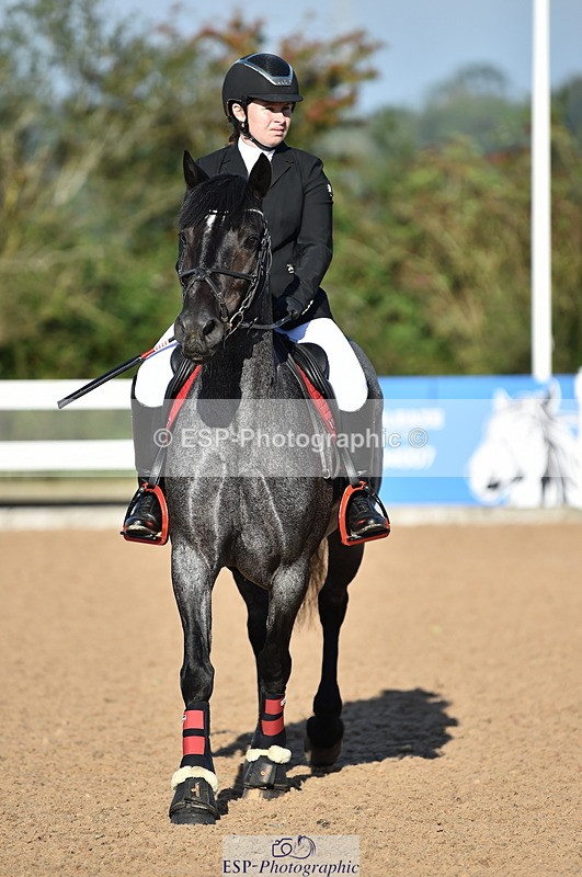 230903A-091138-03455 - Cls 17 Pony Intro 75cm