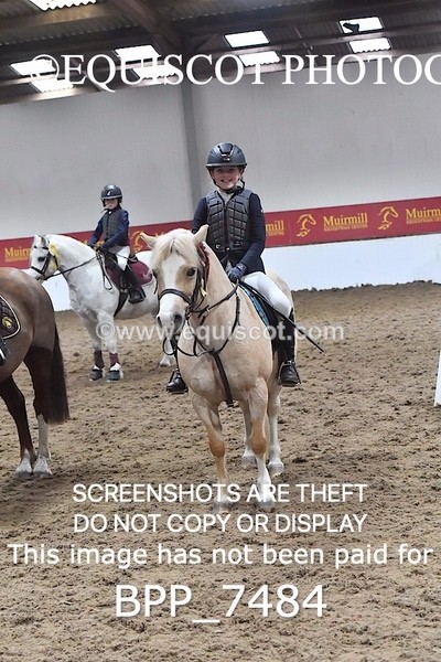 BPP_7484 - 40CM WORKING HUNTER