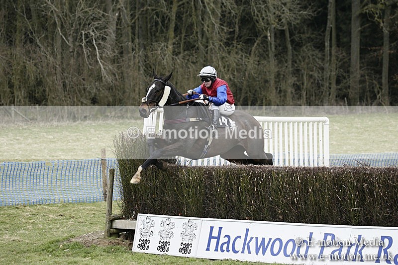 PtP 110318 173 - Hampshire Hunt Point-to-Point Hackwood Park 11/03/18