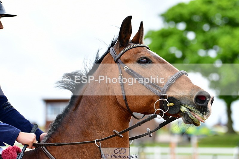 240524A-120318-03240 - Cls 20 85cm National Am Qualifier