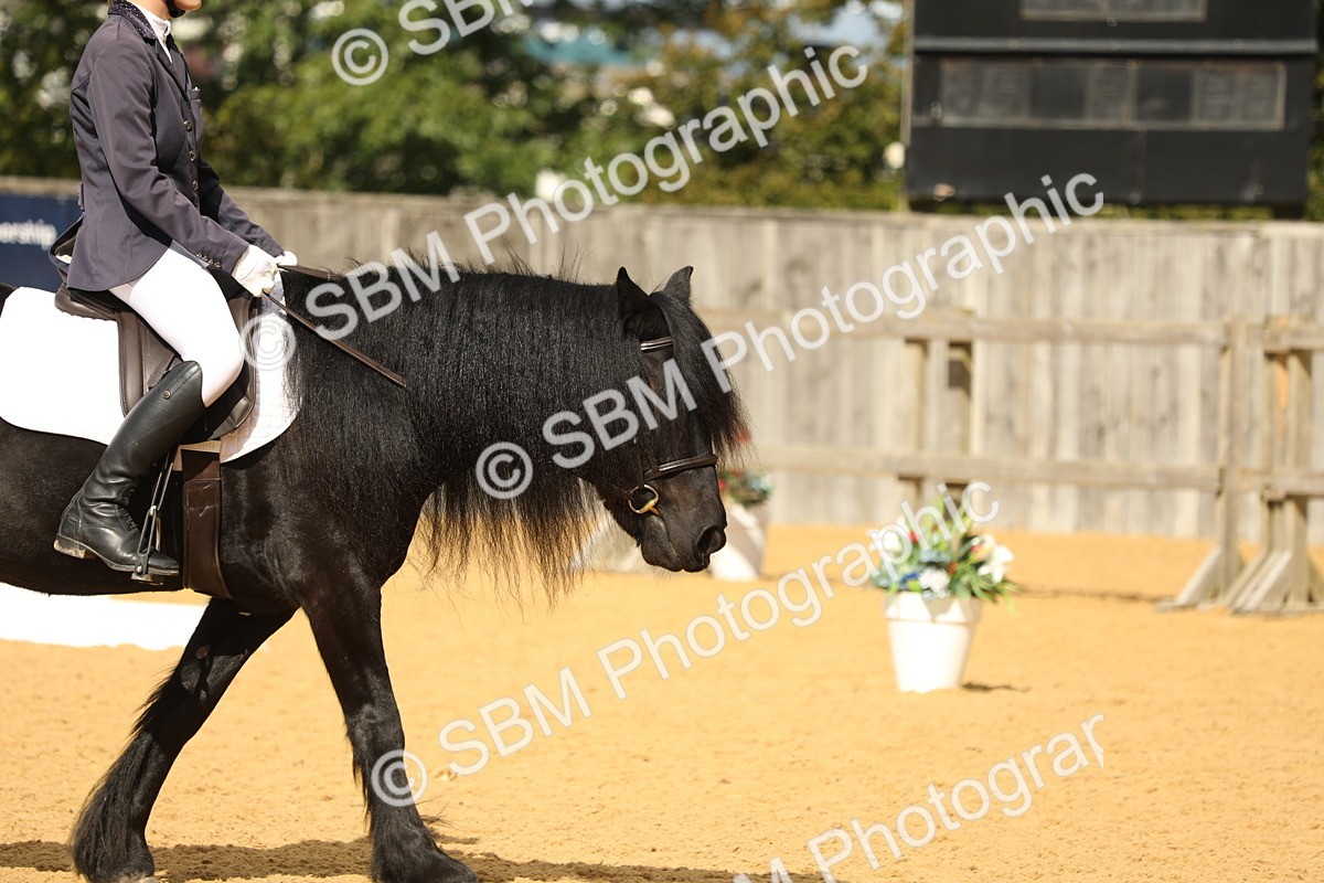 SBM_41750 - D21 - Junior Championship - Intro A