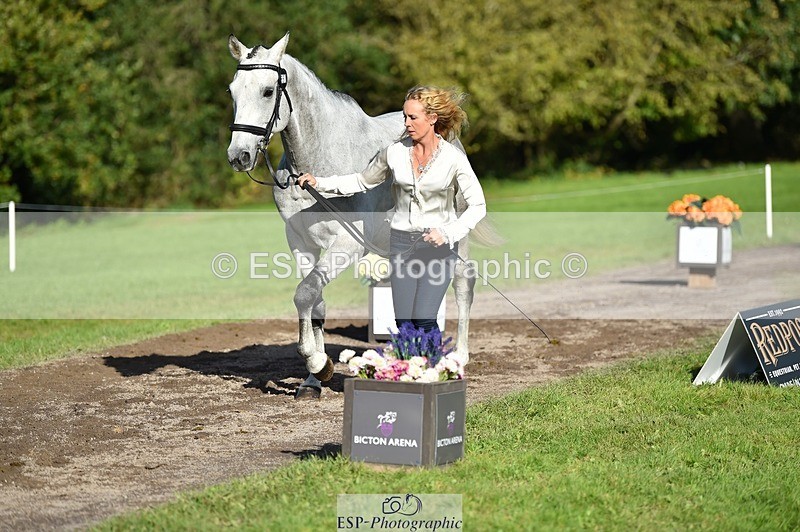 231022-112256-23922 - 557-KILBALLYBOY.SURPRISE-Courtney.Romcke-TrotUp+SJ