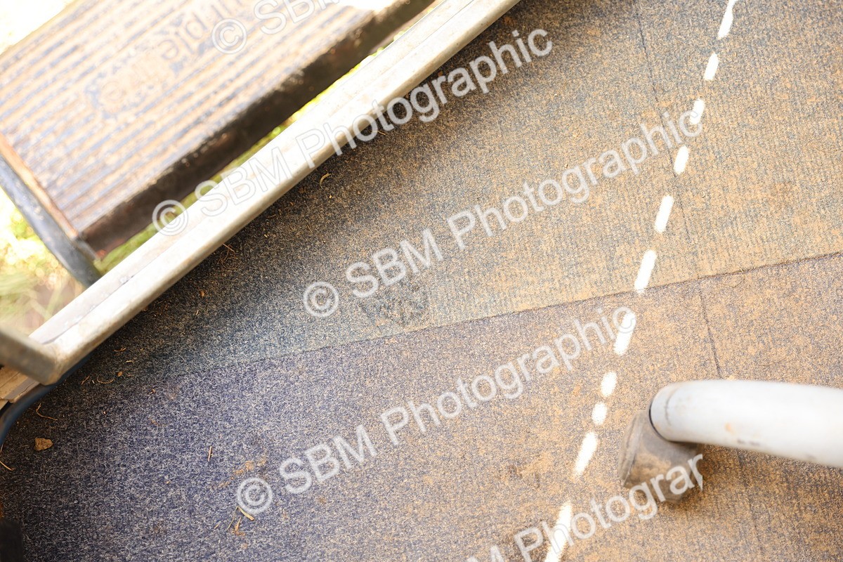 SBM_10856 - Presentations