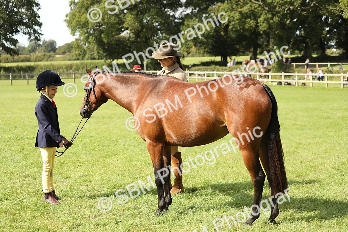 SBM_67821 - S39 - Junior Handler 8  Years & Under