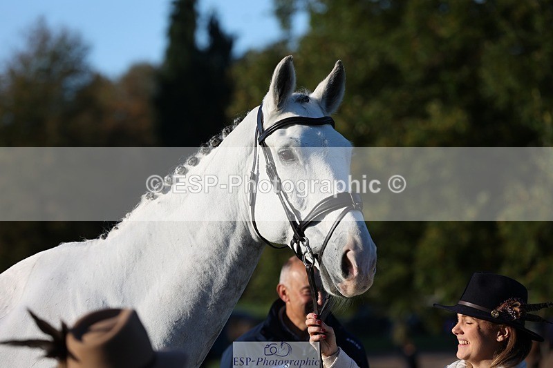 241027-084303-14769 - 386-Sarah.Ulph-COOL.ICE