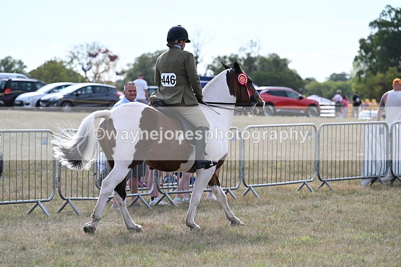 WJ7_7705 - Ridden Championship