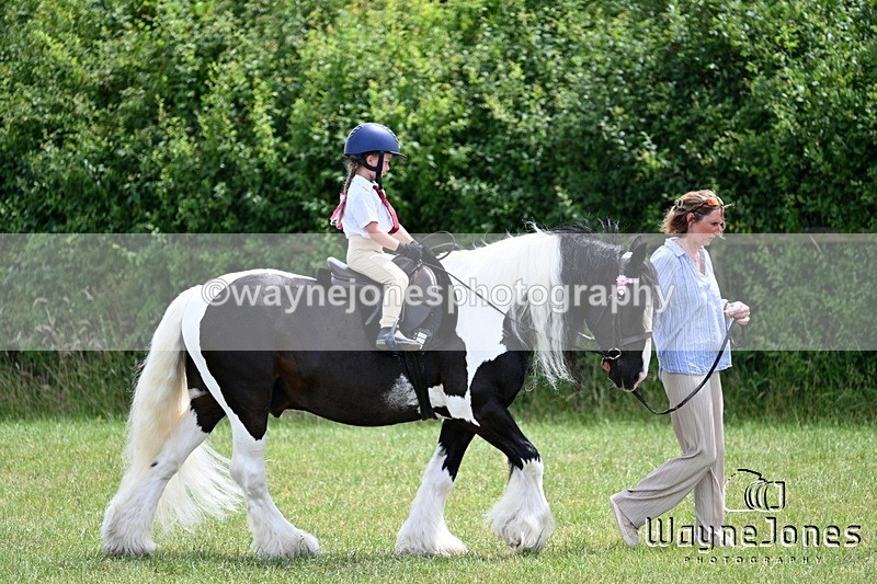 WJ7_8288 - Nancy And Churchill SORC summer show 21-06-26