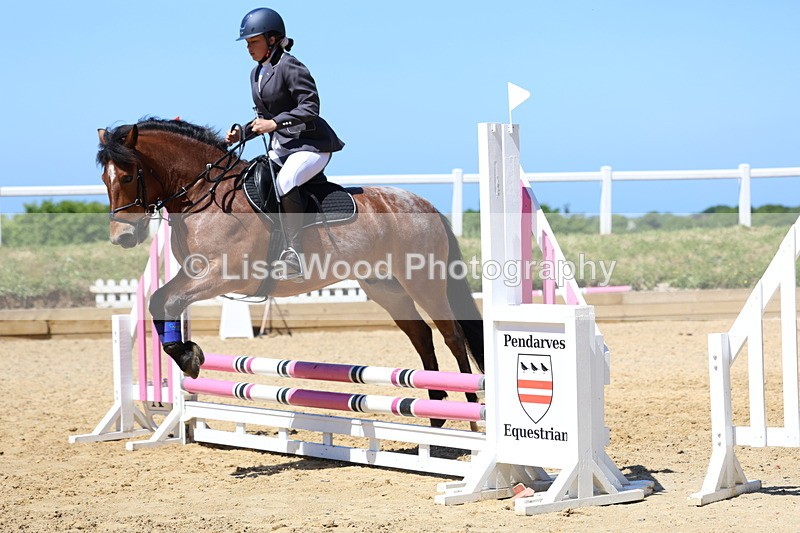 3E7A2369 - Class 4/5: 60cm Open Teams and Individuals