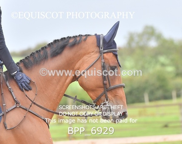 BPP_6929 - CLASS 2 Senior British Novice/ 90cm Open