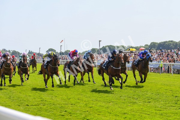 270523-Race 3-Chipstead-0445 - Race 3 2.40pm William Hill Epic Boost Handicap