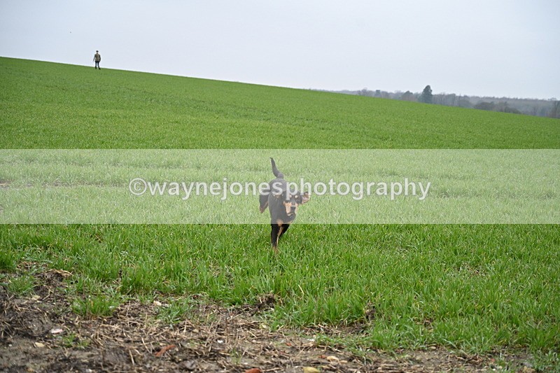 WJ7_9714 - Walk out..