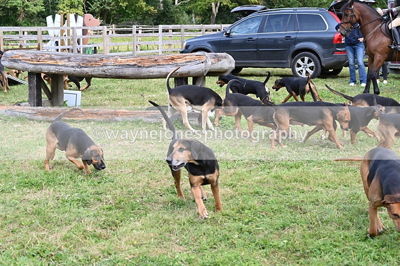 WJ6_3133 - Berks & Bucks - The Old farmhouse - Hound Exercise 20-08-25