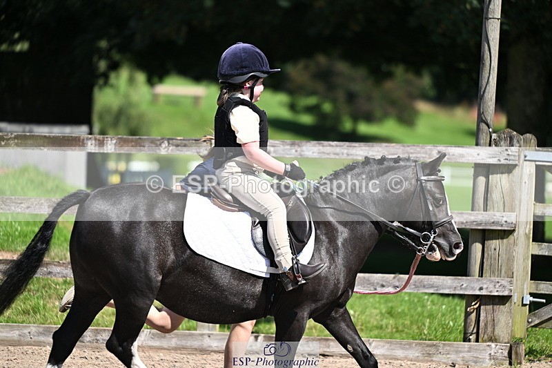 240729B-112943-02408 - Showjumping Competition