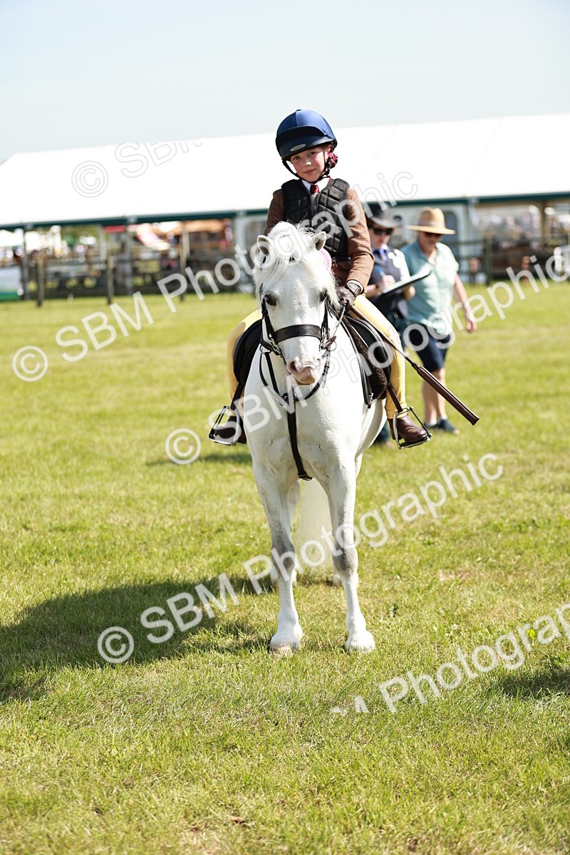 SBM_12804 - Class 106-107 - BSPS LIHS Working Sports Pony