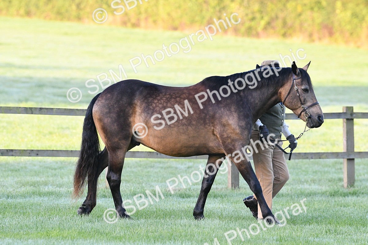 SBM_32423 - S15 - Condition & Turnout In Hand