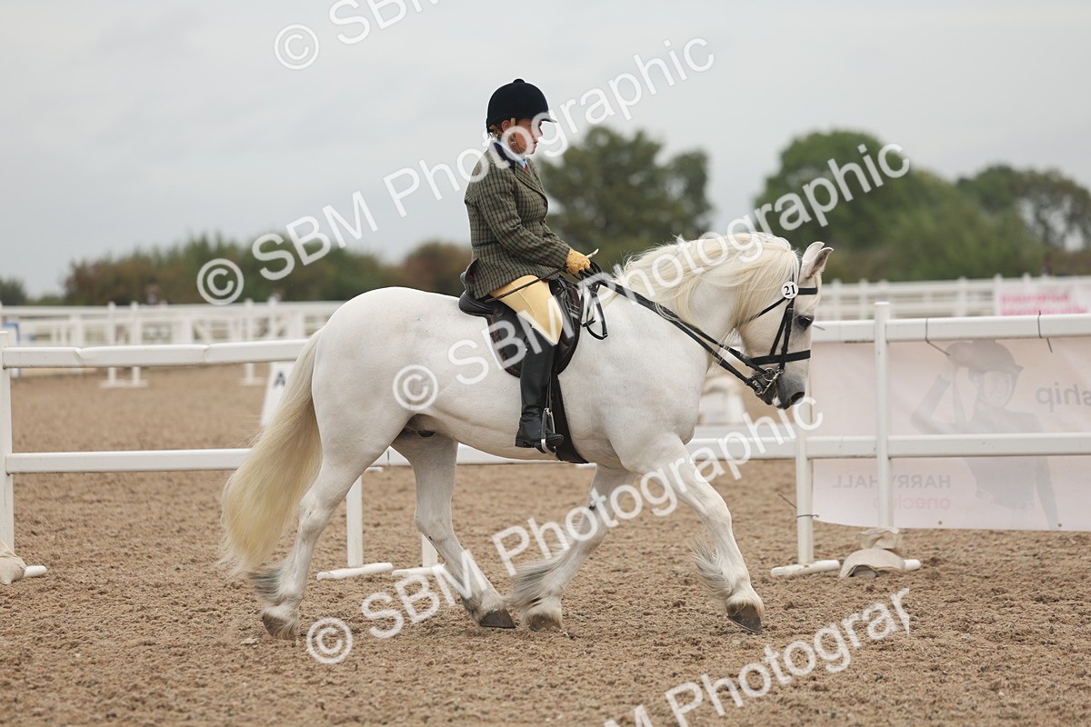 SBM_01866 - Class 14 - Ridden M&M Wildcard