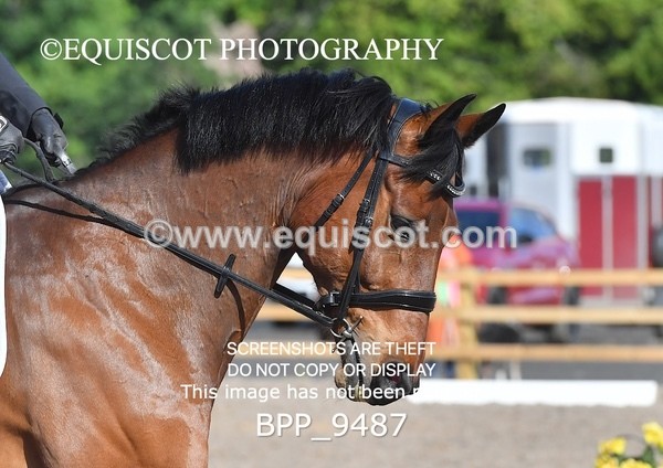 BPP_9487 - PRELIM 4 & 5 UNAFF