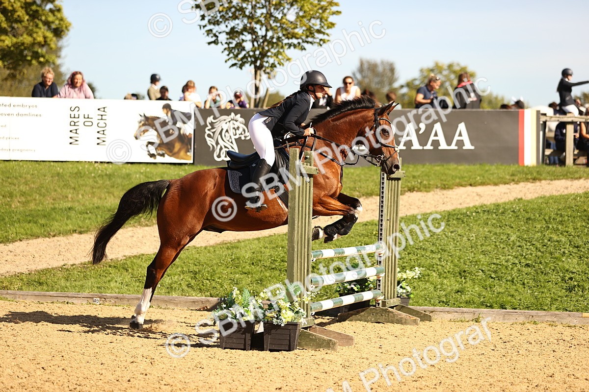 SBM_38243 - J39 - Senior 85cm Championship
