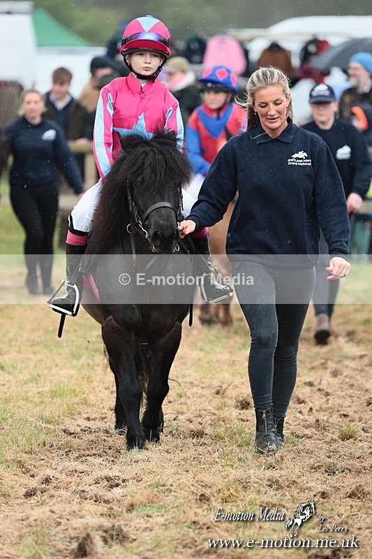SHETPR 210425 57 - Shetland Ponies Paxford Races 21/04/25