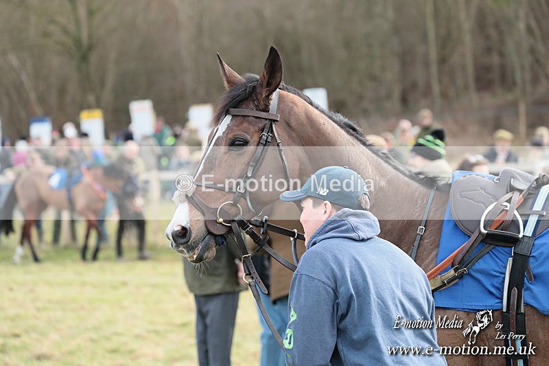 PtP 220225 155 - Kimblewick Point-to-Point  Kingston Blount 22/02/25