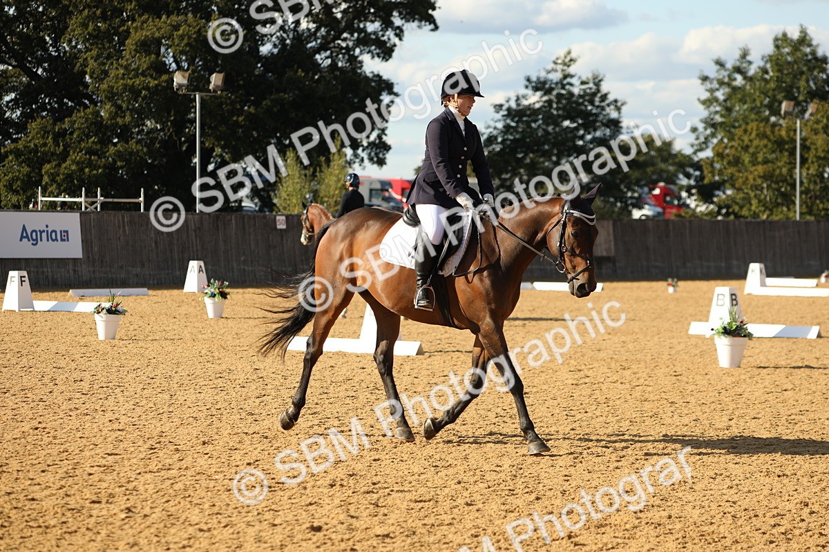 SBM_26945 - D17 - Grand Tour Championship - Novice 27