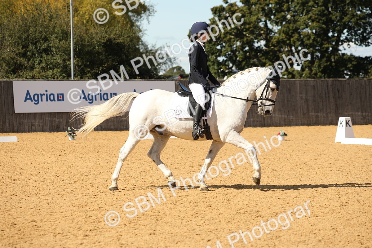 SBM_22359 - D17 - Grand Tour Championship - Novice 27