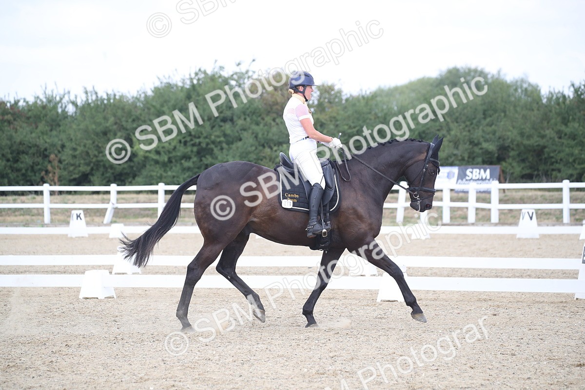 SBM_008280 - Novice 5 - 10.56-13.12