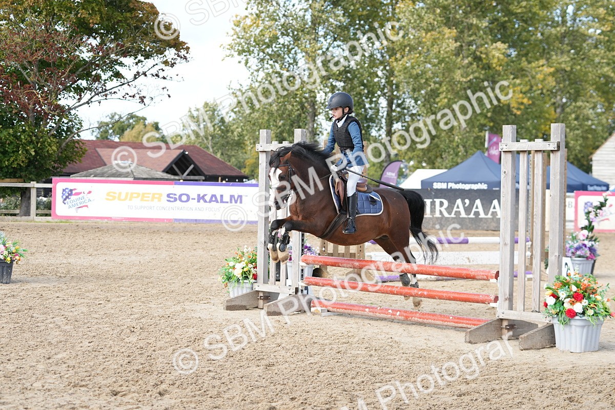 SBM_46927 - J7 - Junior Pony 60cm Championship
