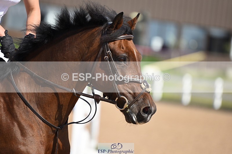 230906A-125632-00377 - Newcomers & 1.10m Open