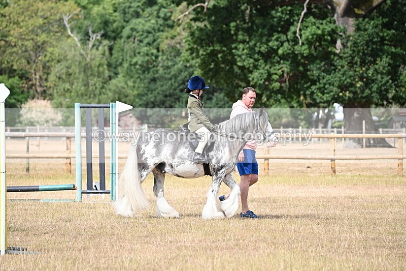 WJ6_7561 - Class 9 Tack and Turnout