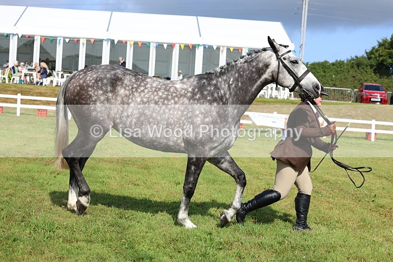 3E7A9097 - Class 3: Rising Star S/L Hunter